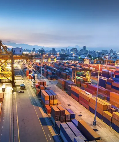 Magnificent International 
                            Logistics Pvt. Ltd.